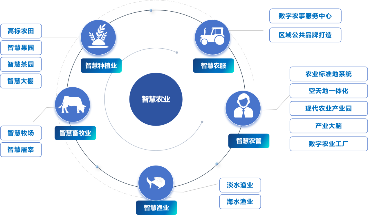 主要領域